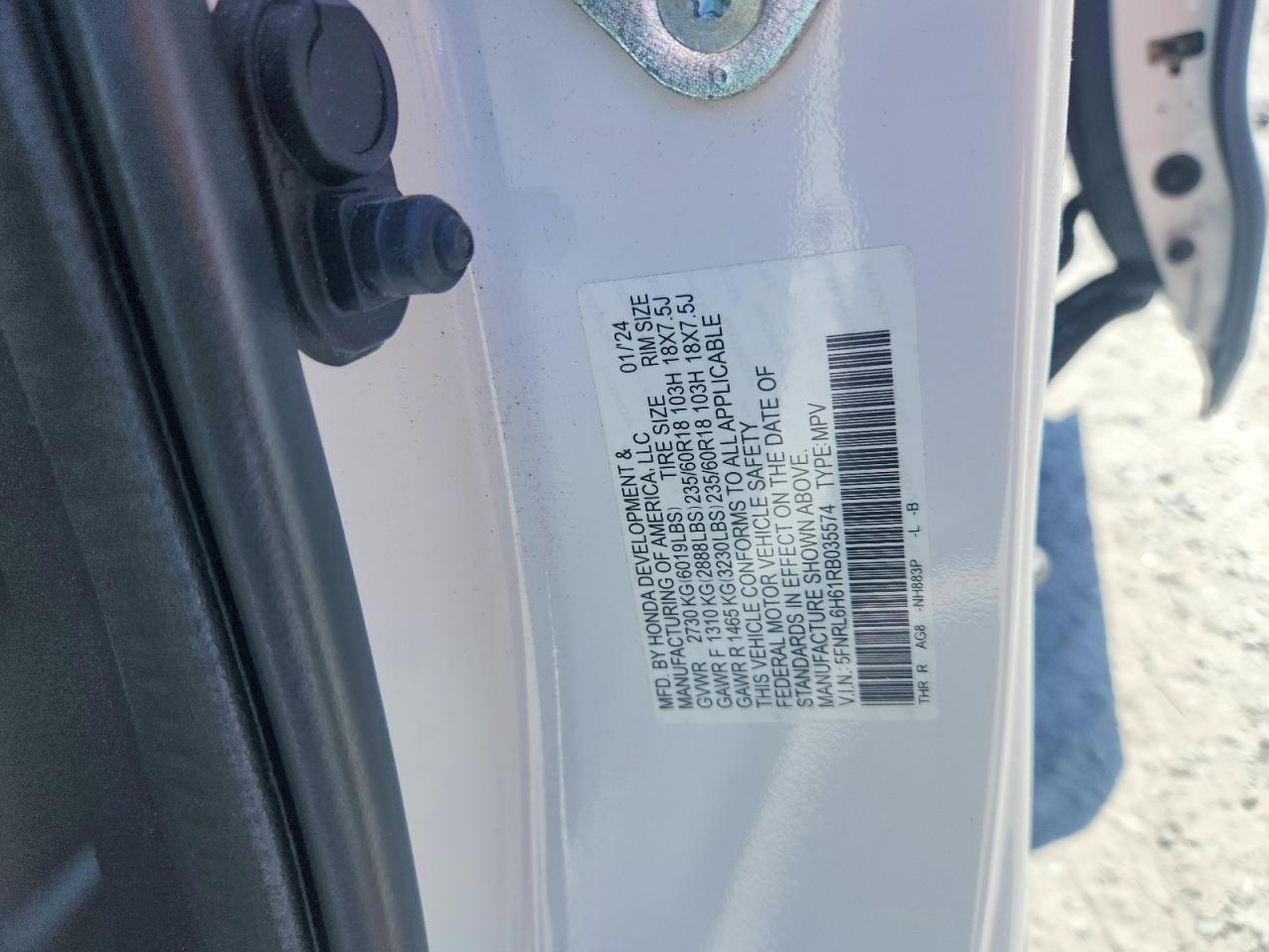 Honda Odyssey Exl