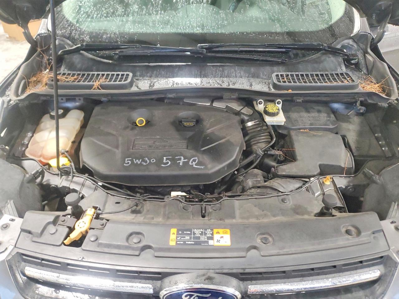 Ford Escape