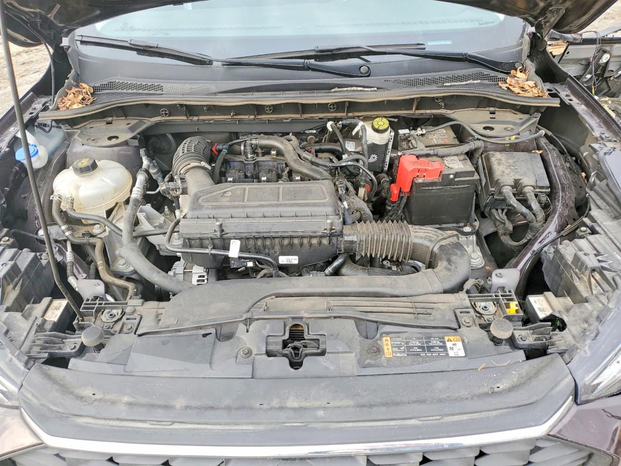 Ford Escape Active