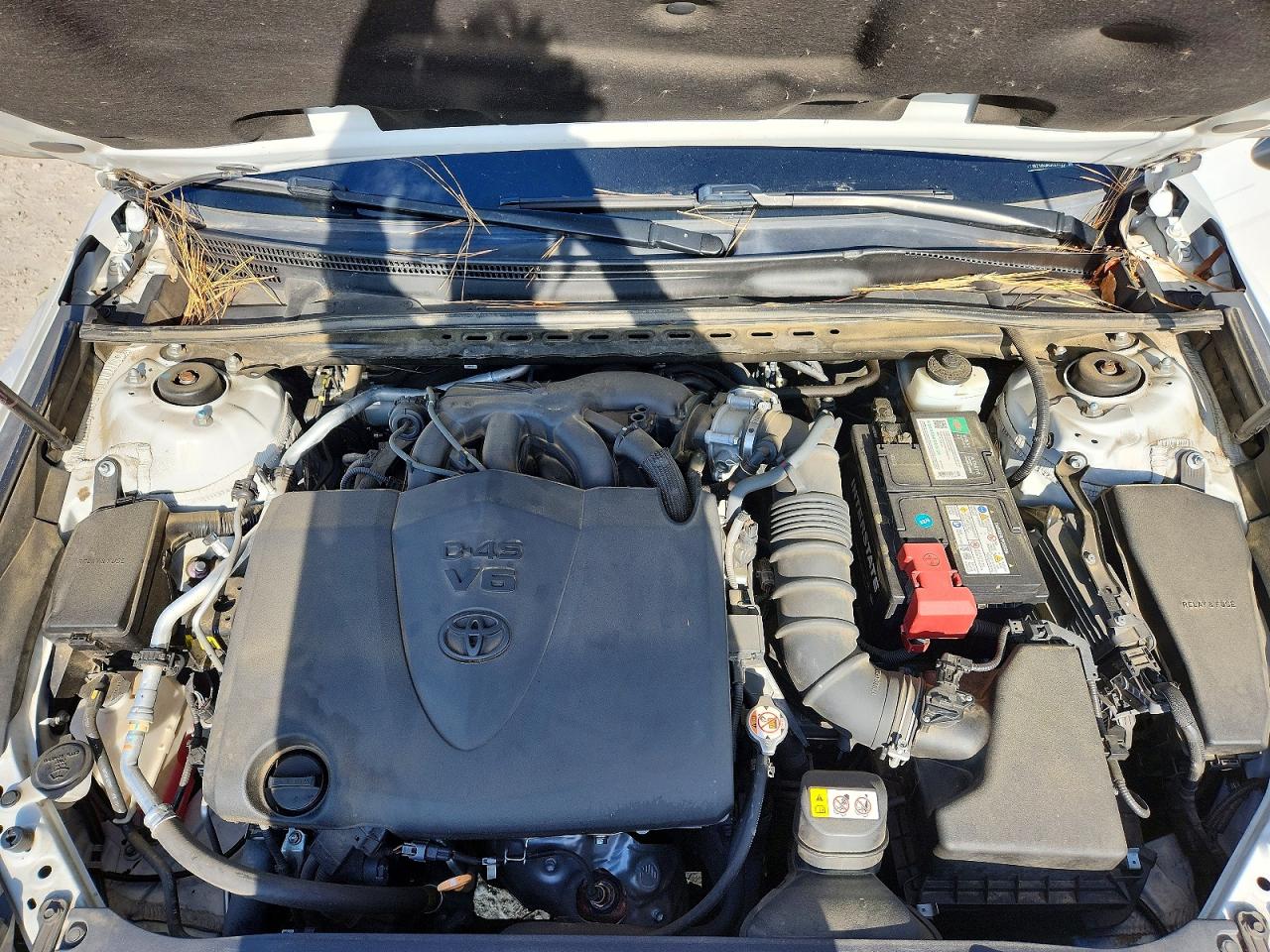 Toyota Camry Xse V6