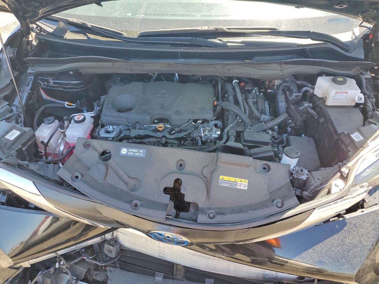 Toyota Sienna Xle 8-passenger