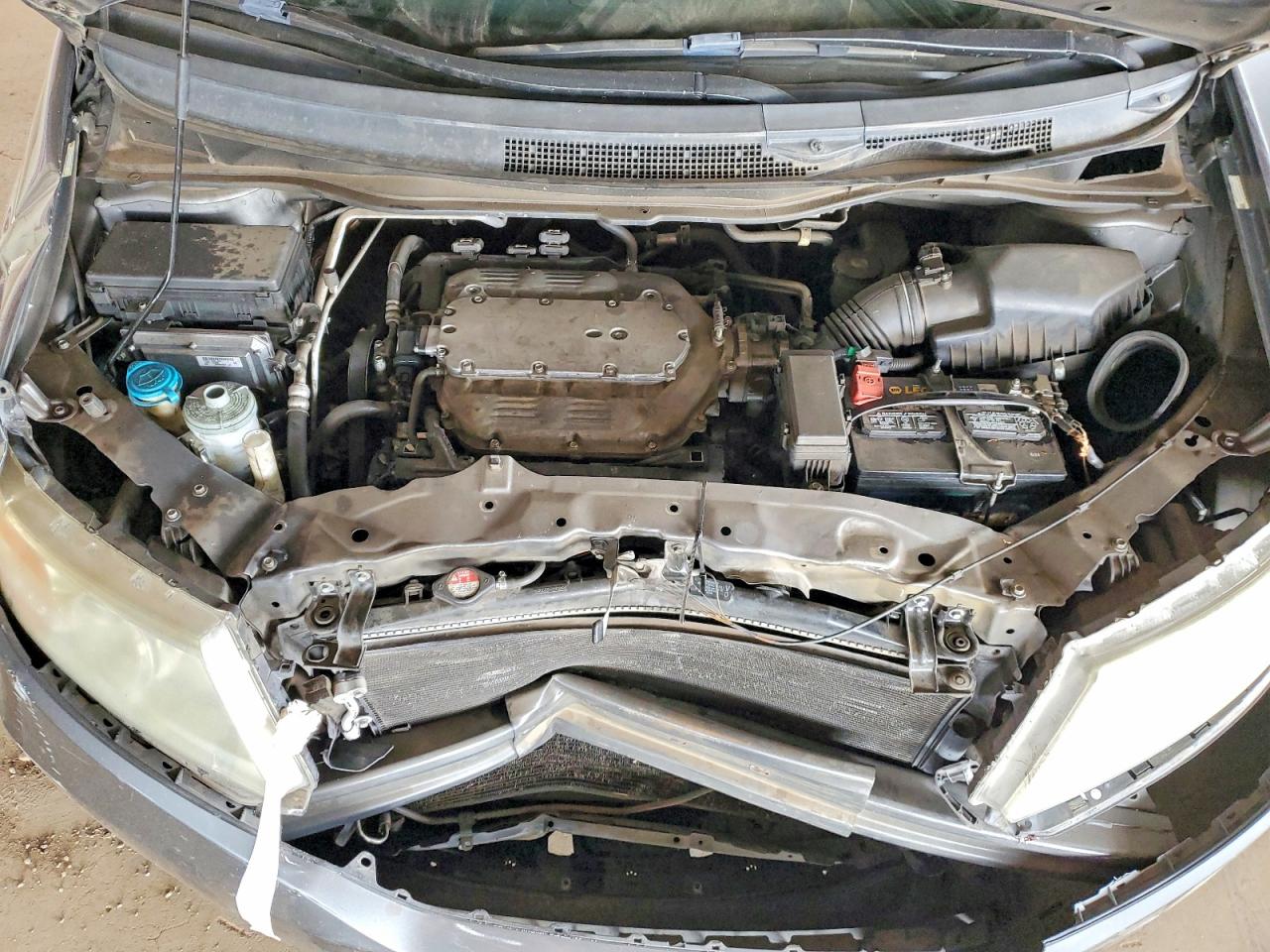 Honda Odyssey Exl