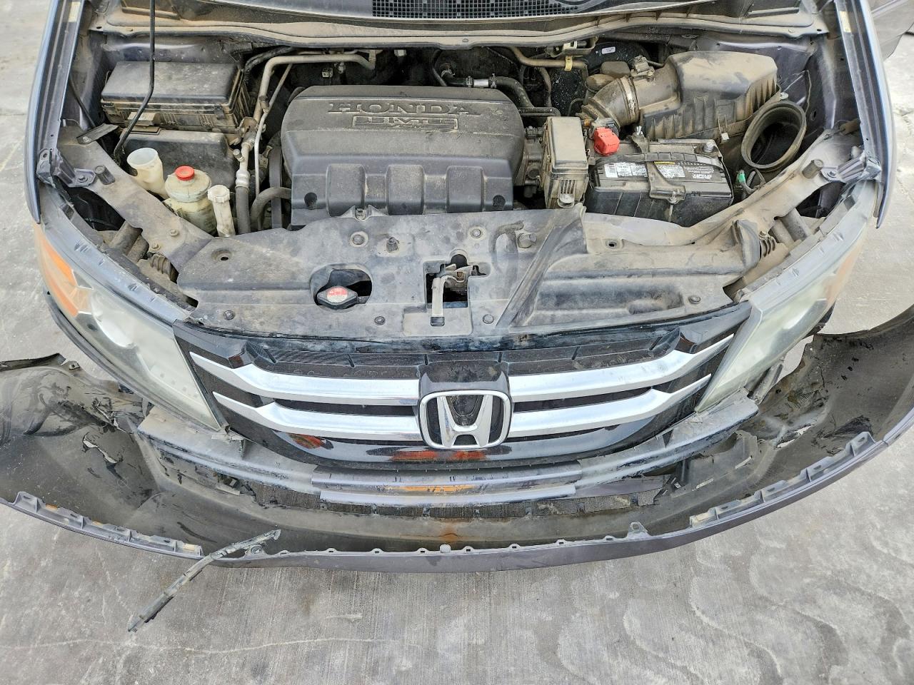 Honda Odyssey Exl