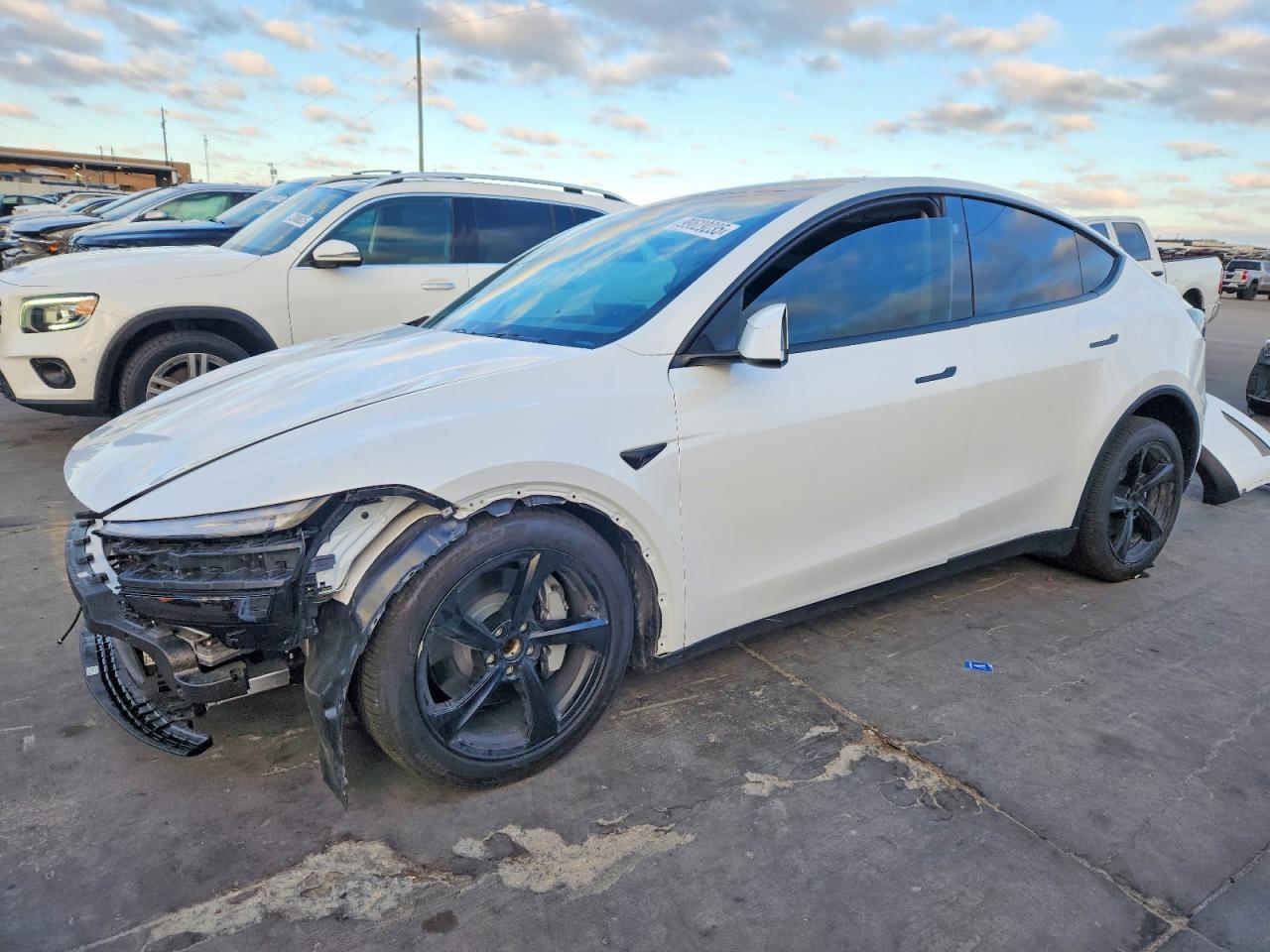 Salvage Tesla Model Y Image