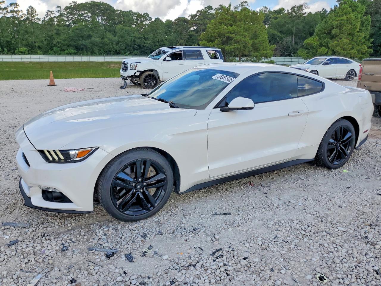 Salvage Ford Mustang Image
