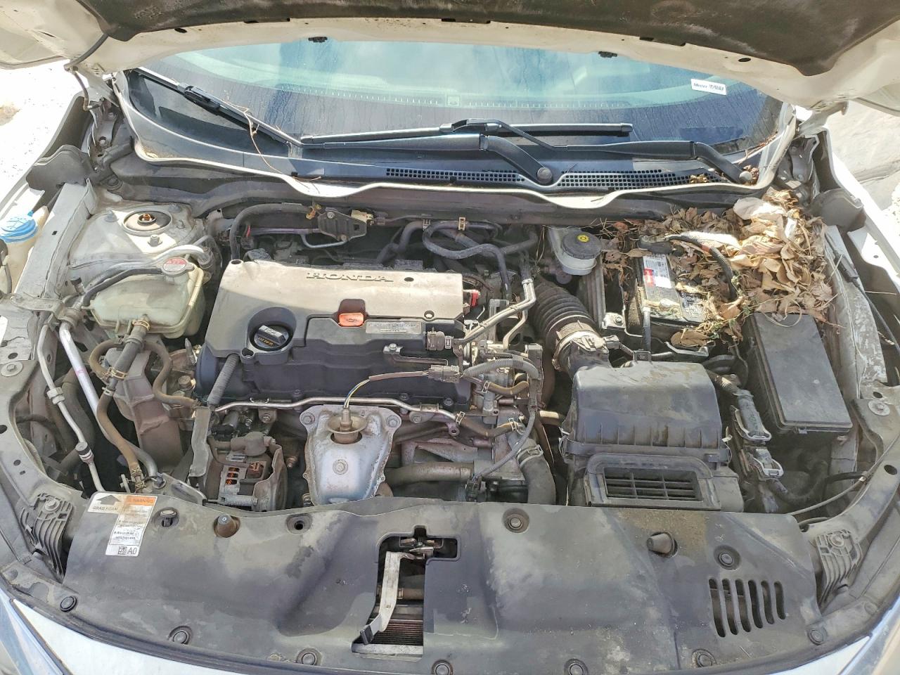 Honda Civic Ex