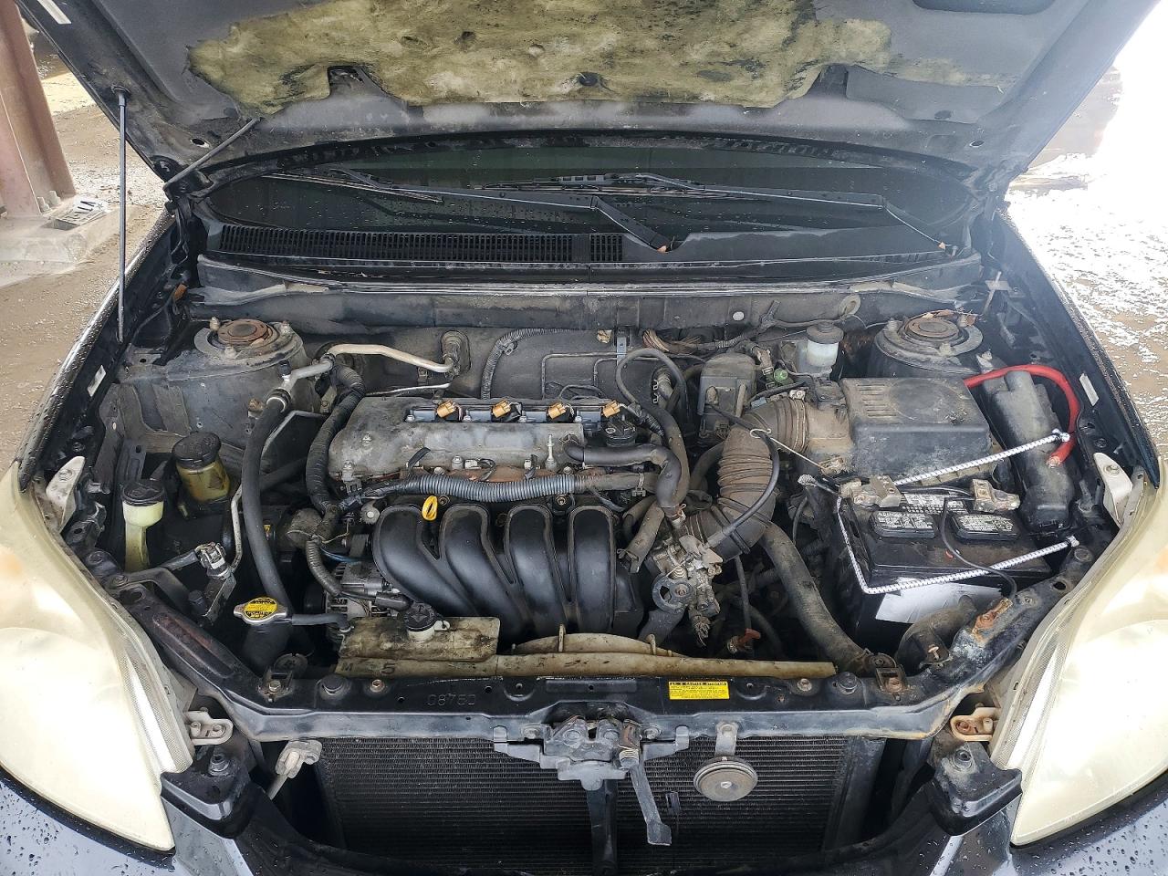 Toyota Corolla Xr