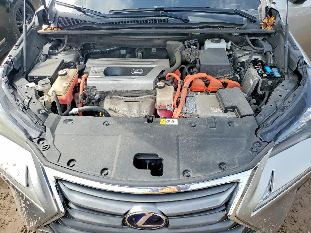 Lexus NX 300h