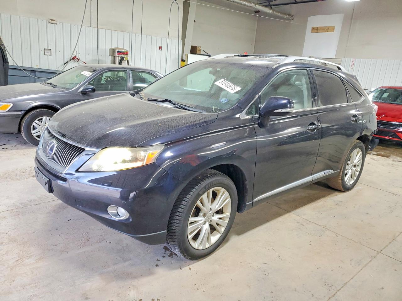 Salvage Lexus RX Image