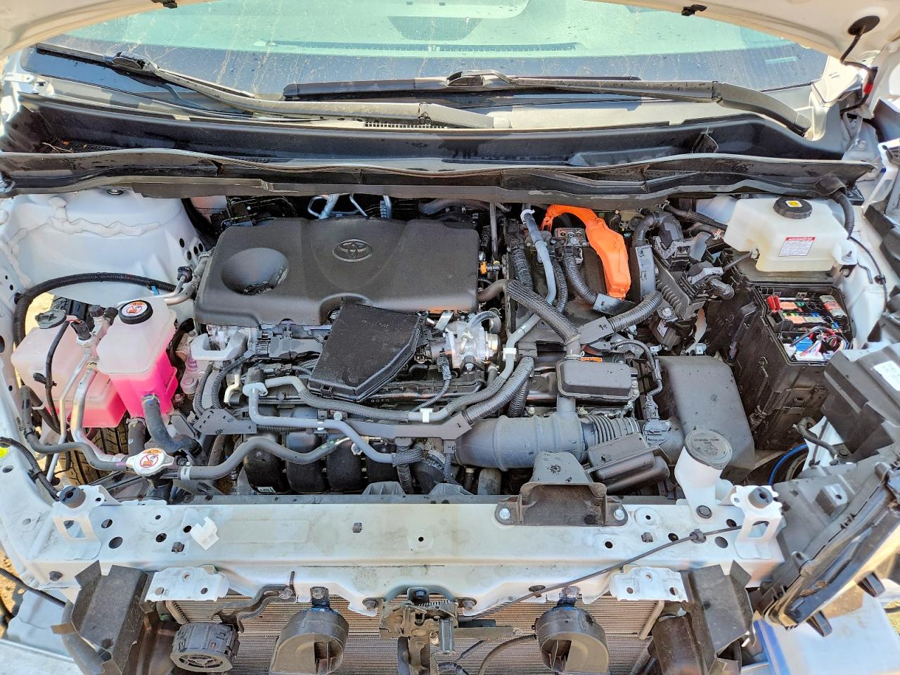 Toyota Sienna Le
