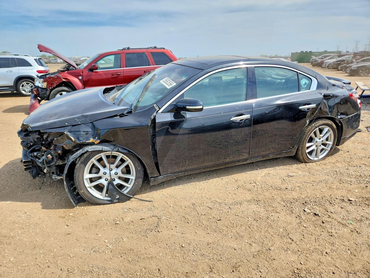 Salvage Nissan Maxima Image