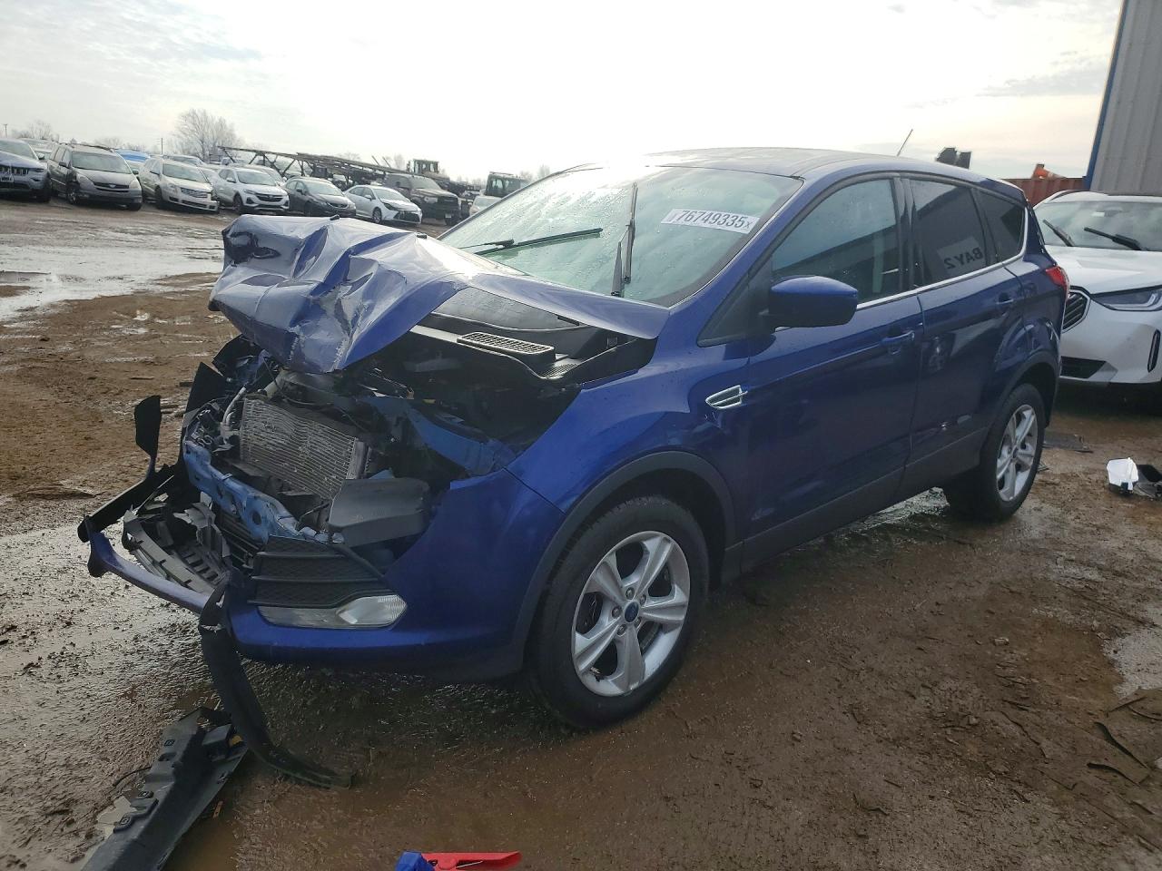 Salvage Ford Escape Image