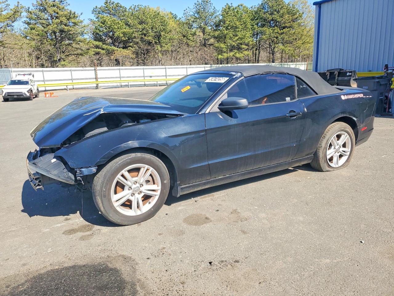 Salvage Ford Mustang Image