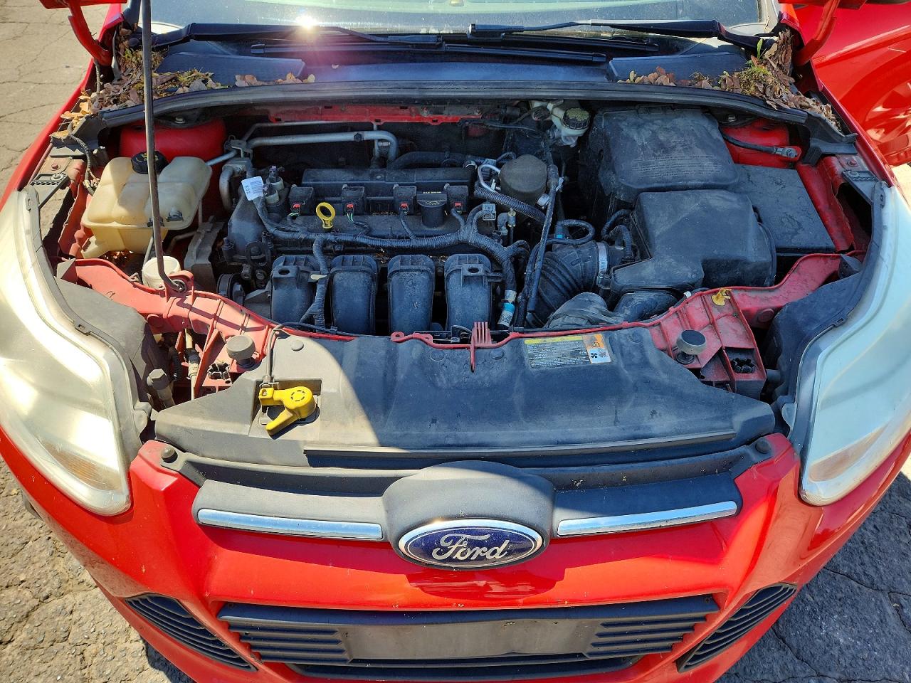 Ford Focus Se