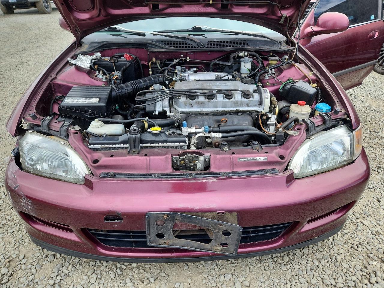 Honda Civic Ex
