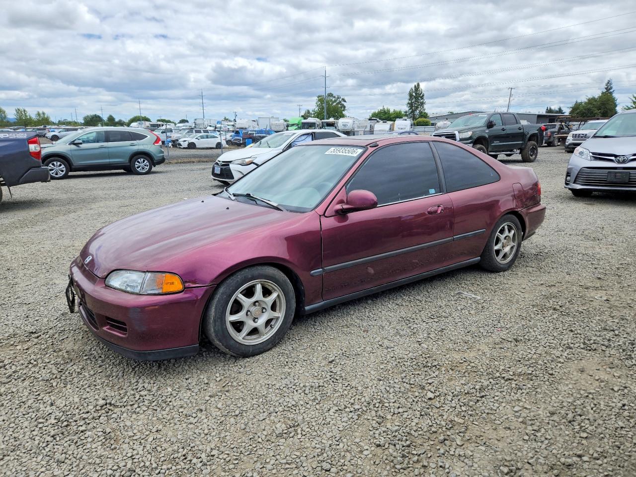 Salvage Honda Civic Image