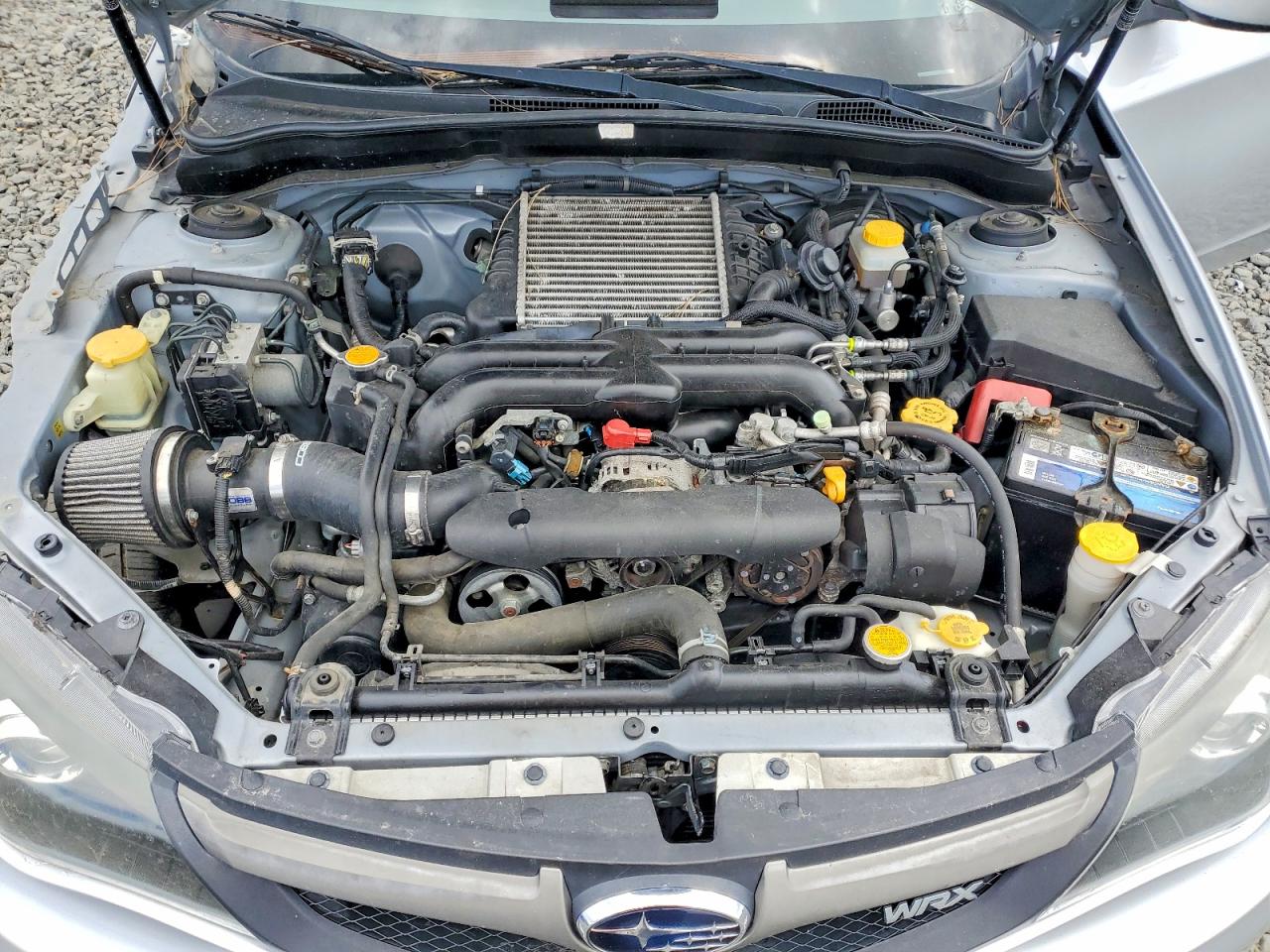 Subaru WRX Wrx
