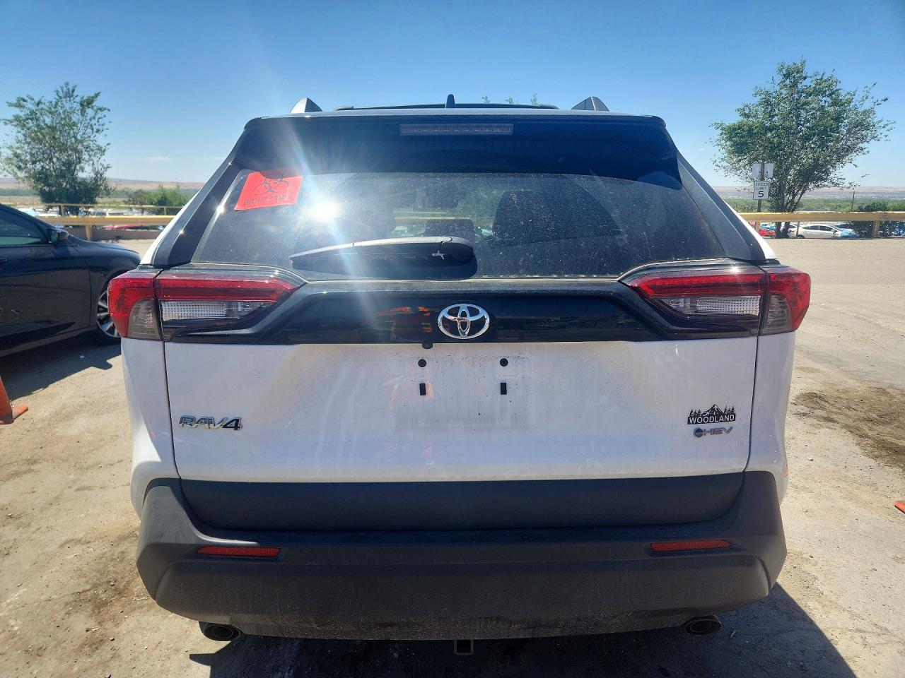 Toyota RAV4 Woodland Edition