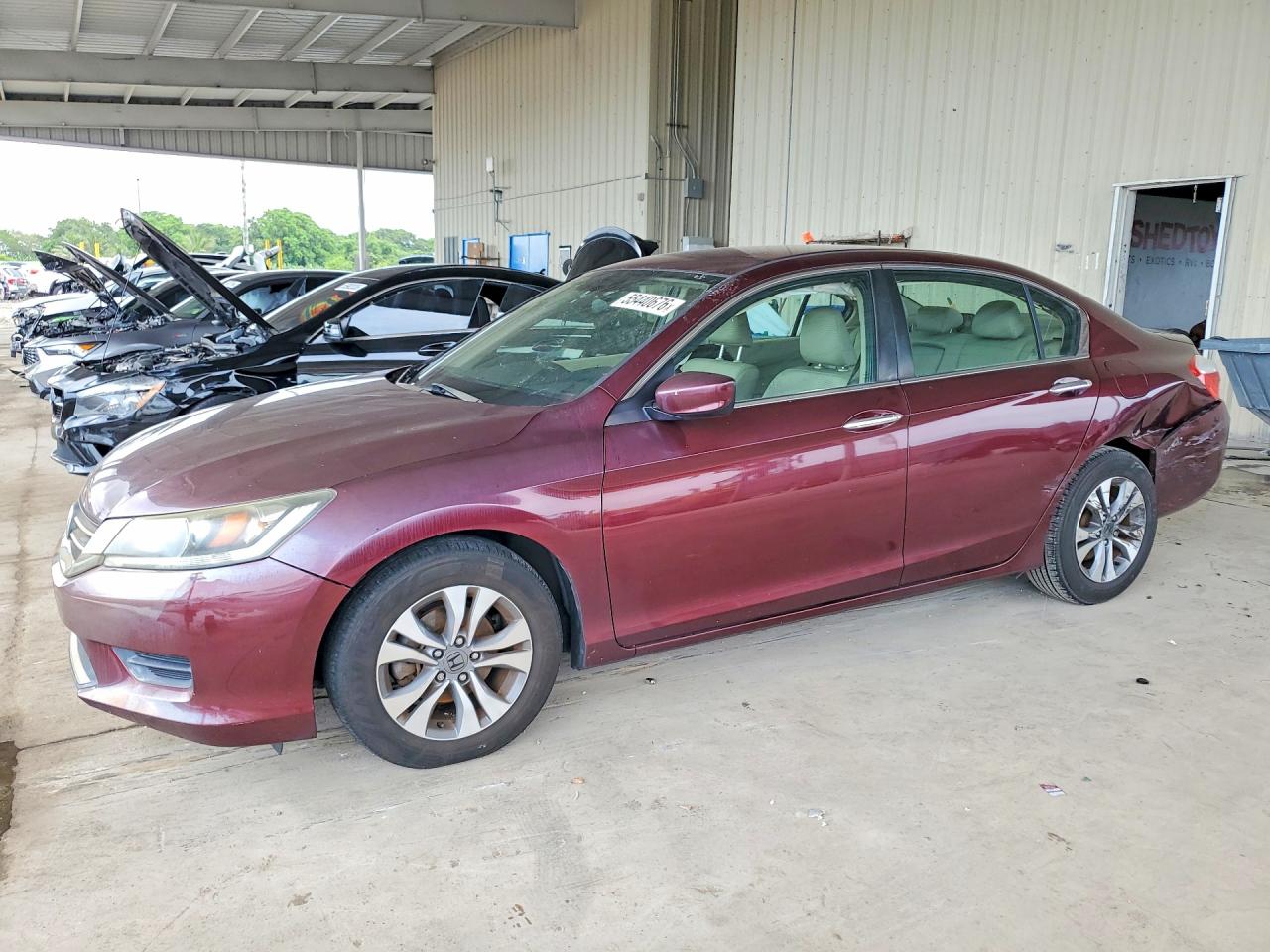 Salvage Honda Accord Image
