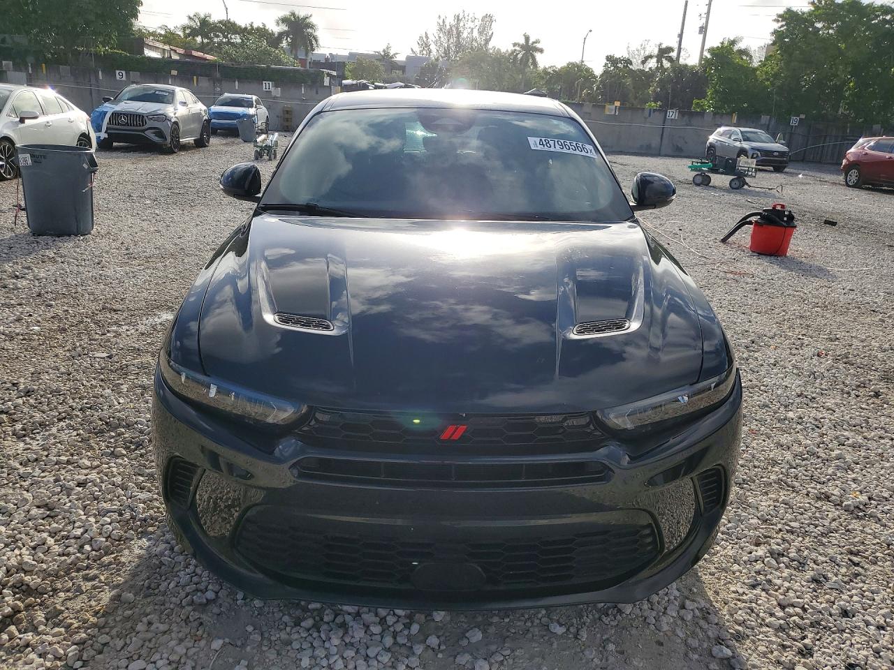 Dodge Hornet Gt