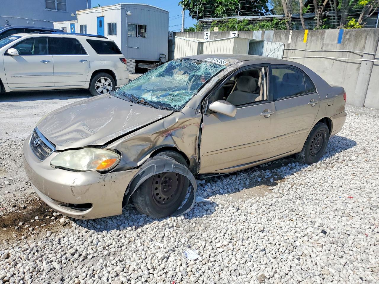 Salvage Toyota Corolla Image