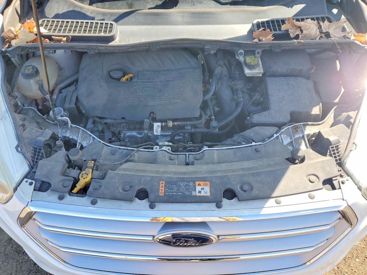 Ford Escape Se