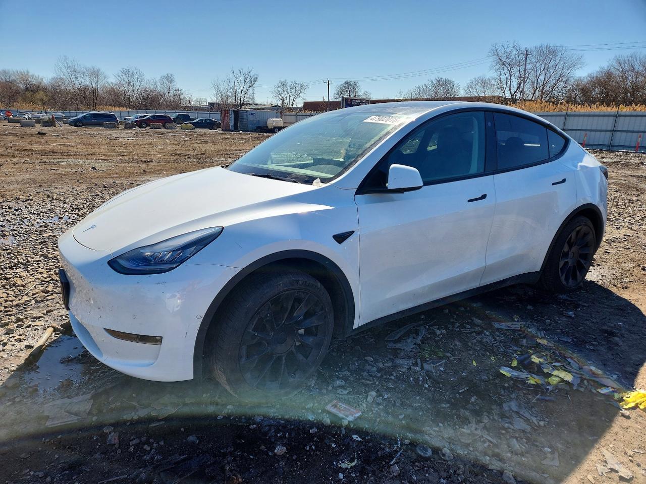 Salvage Tesla Model Y Image