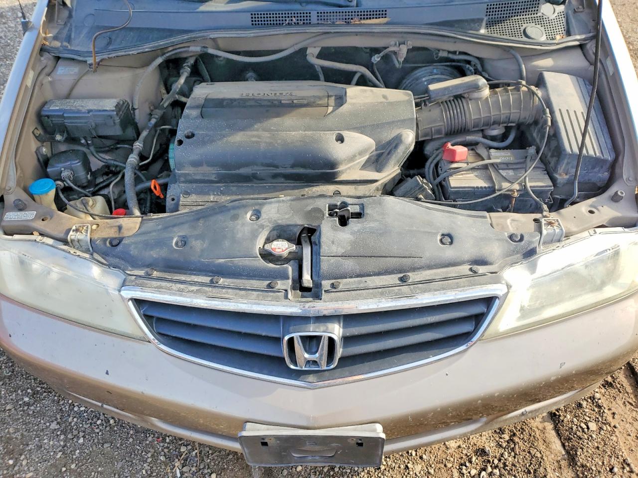 Honda Odyssey Ex