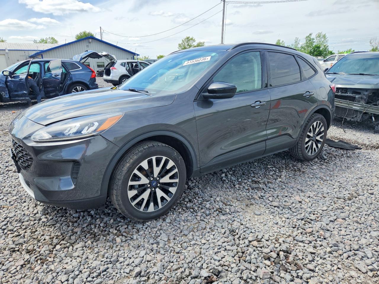 Salvage Ford Escape Image