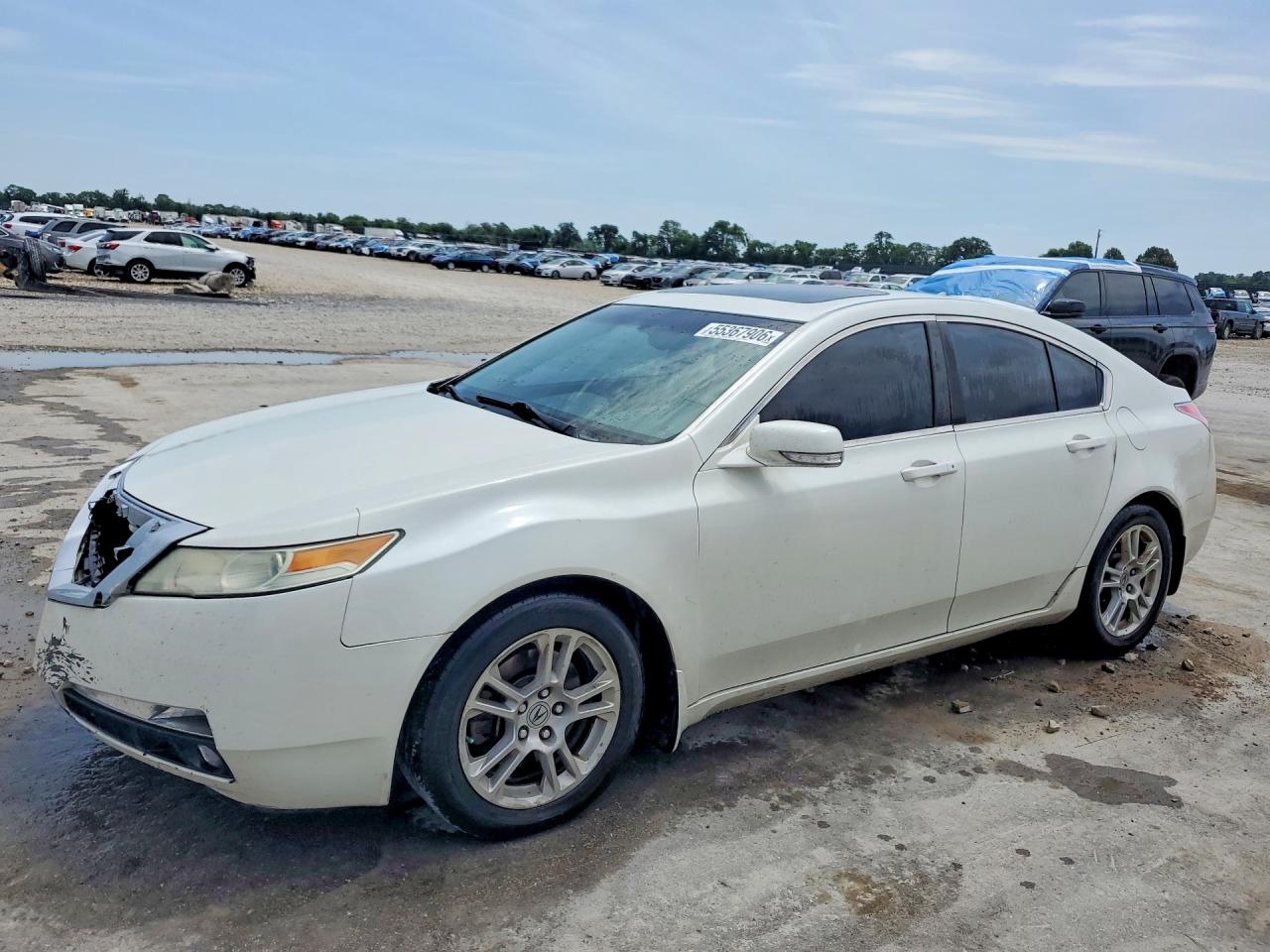 Salvage Acura TL Image