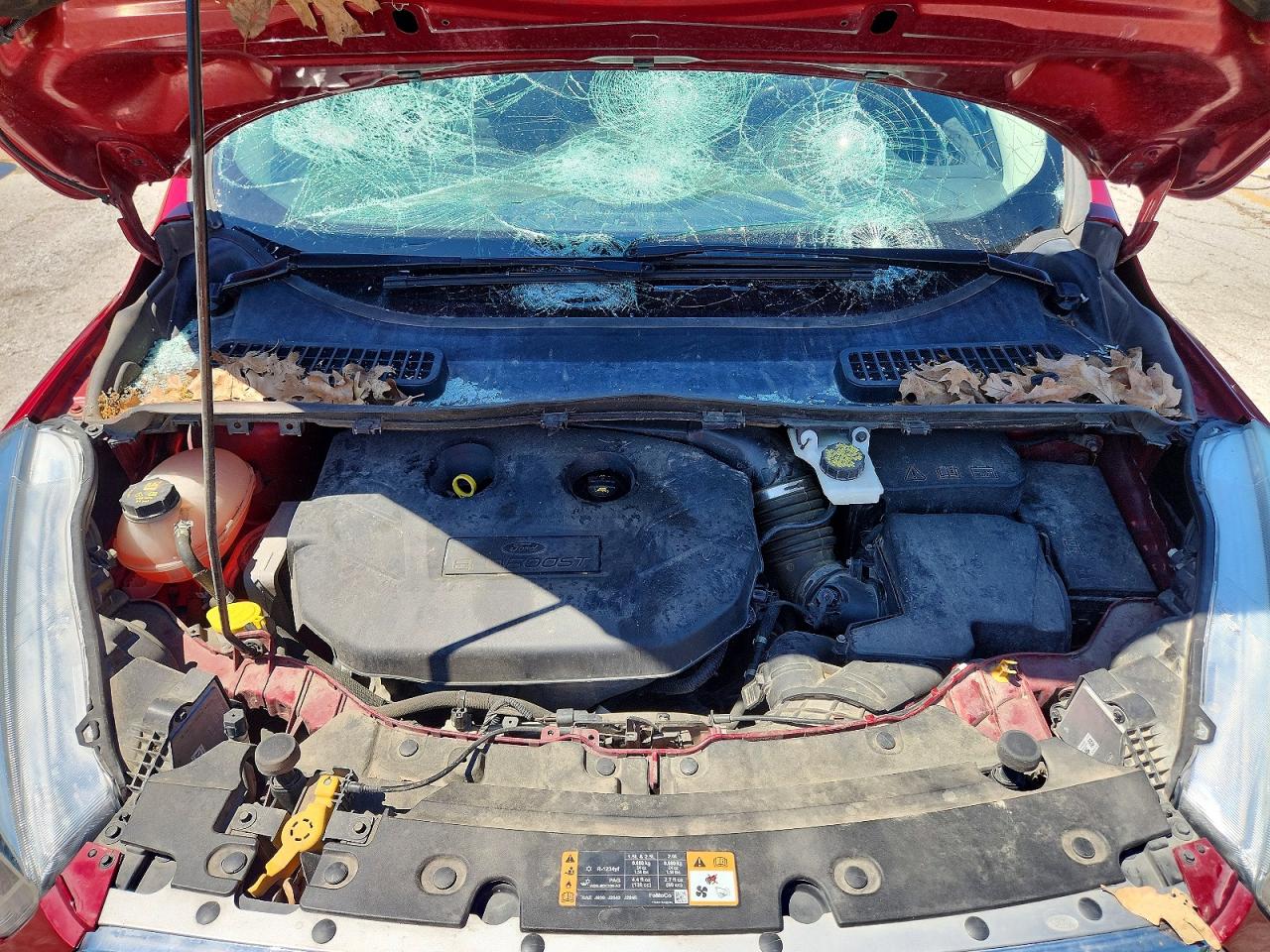Ford Escape Se