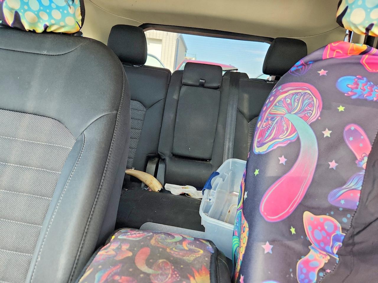 Ford Edge Se