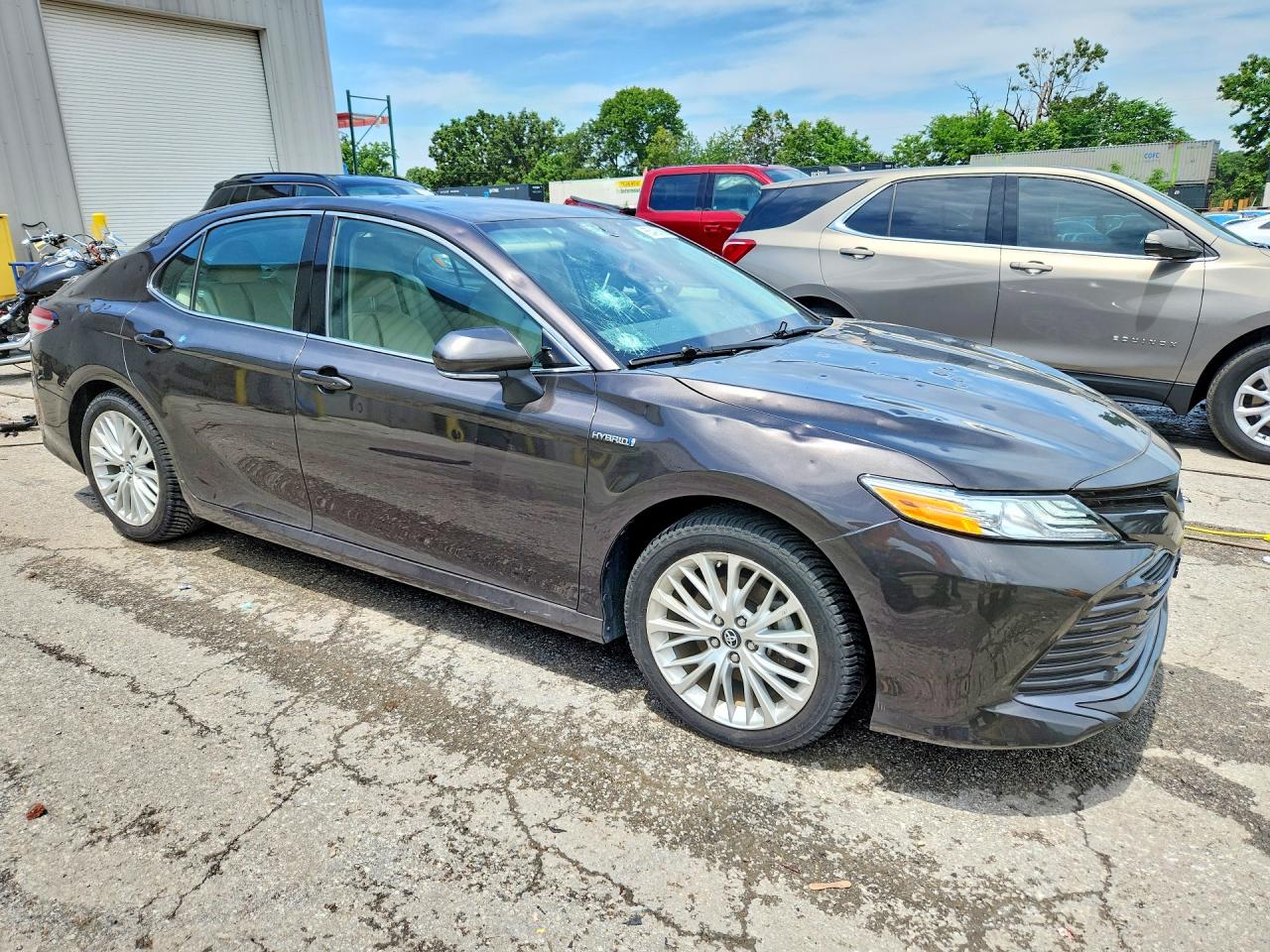 Toyota Camry Xle