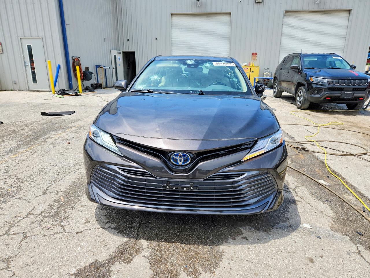 Toyota Camry Xle