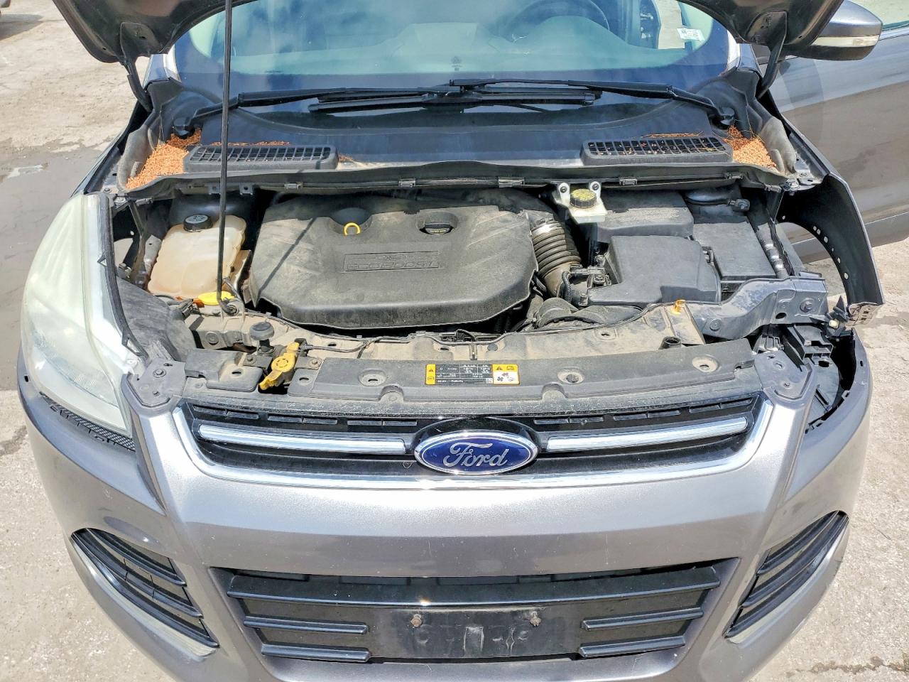 Ford Escape Sel