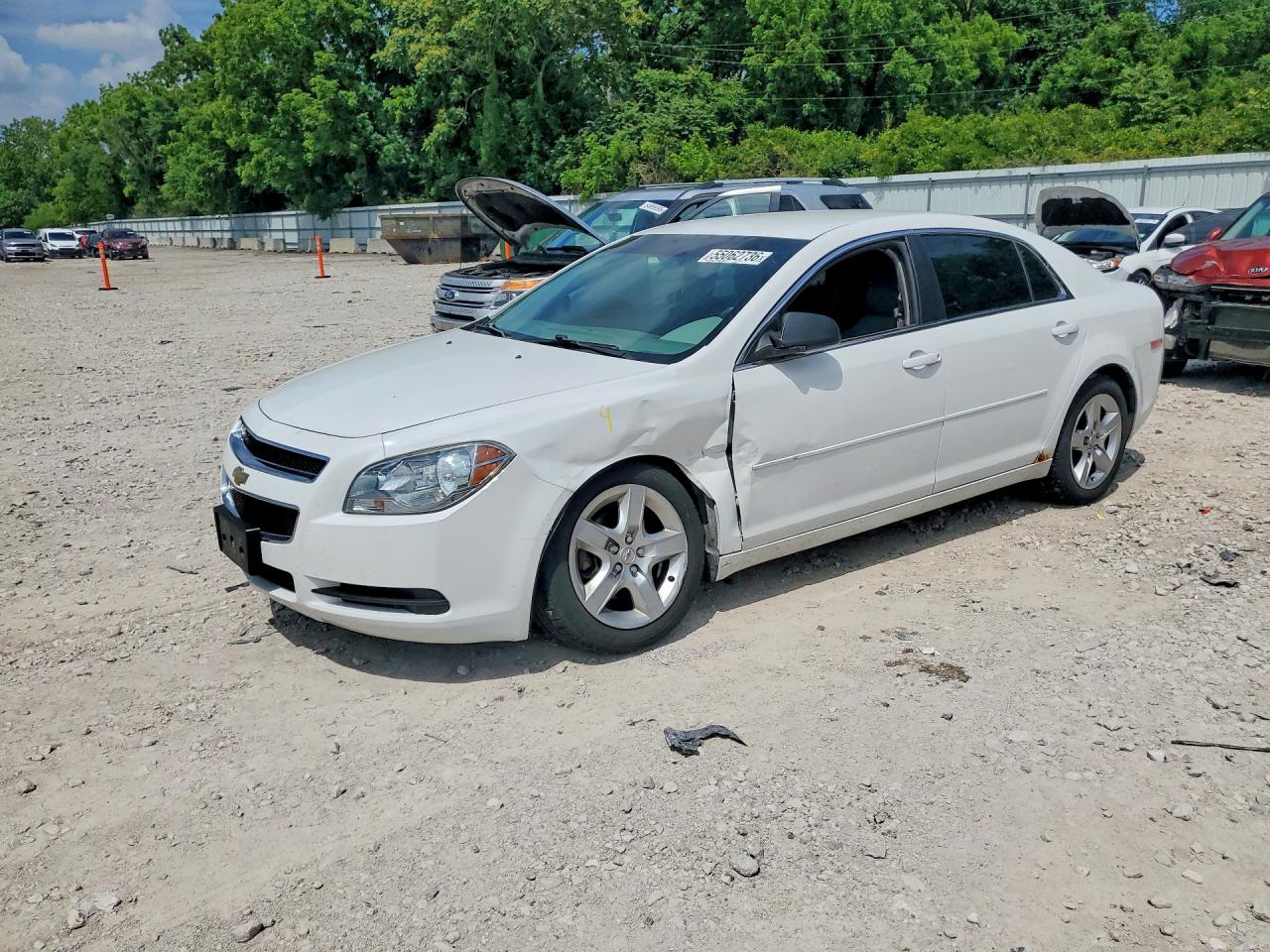 Salvage Chevrolet Malibu Image