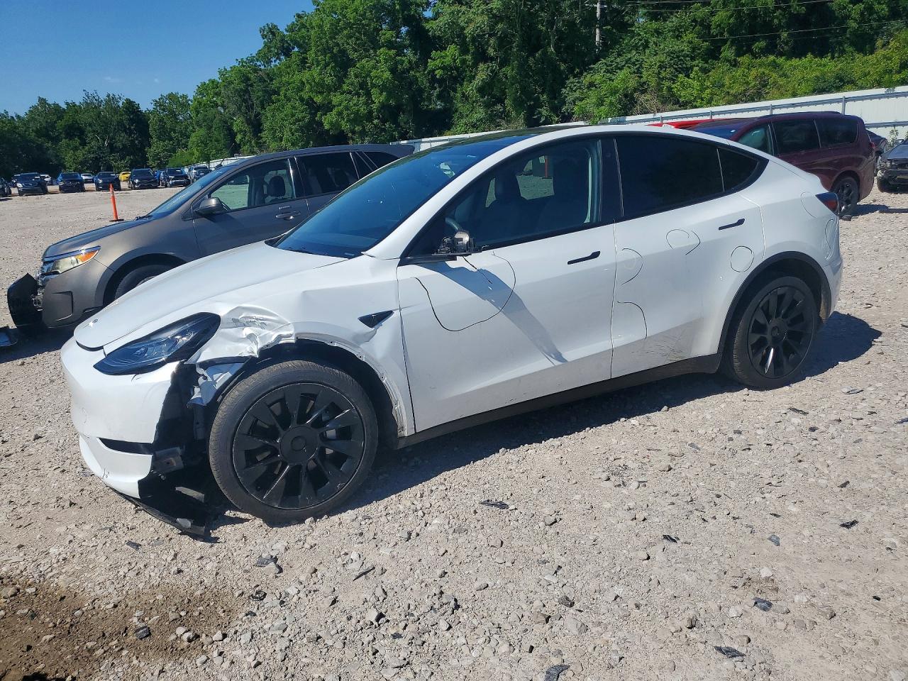 Salvage Tesla Model Y Image
