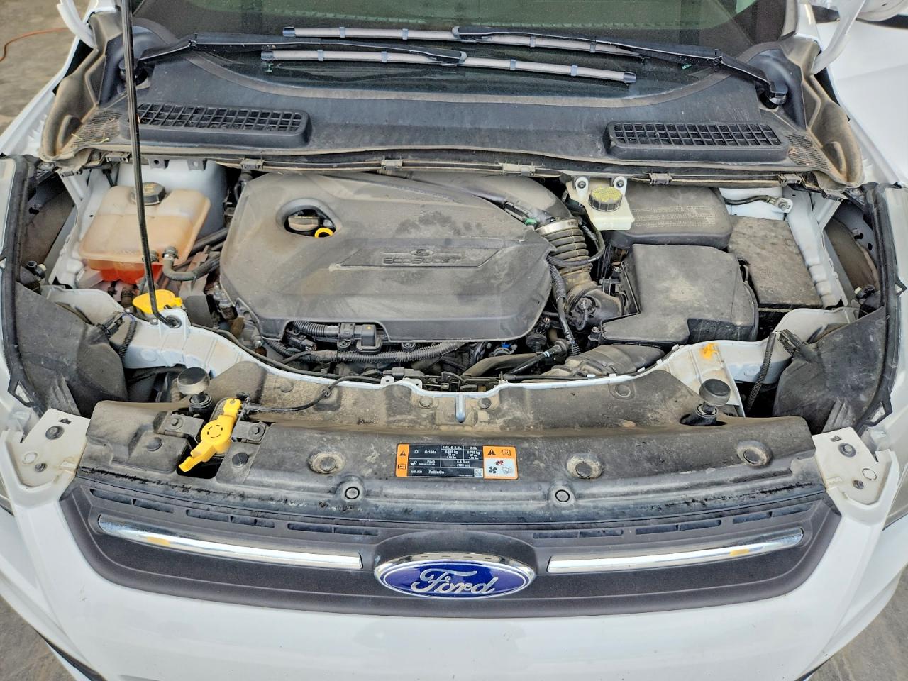 Ford Escape Se