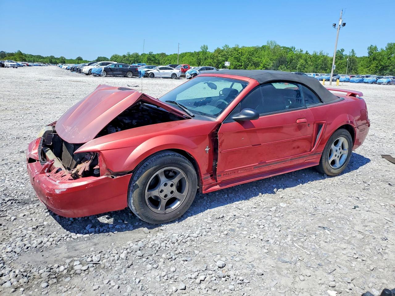 Salvage Ford Mustang Image