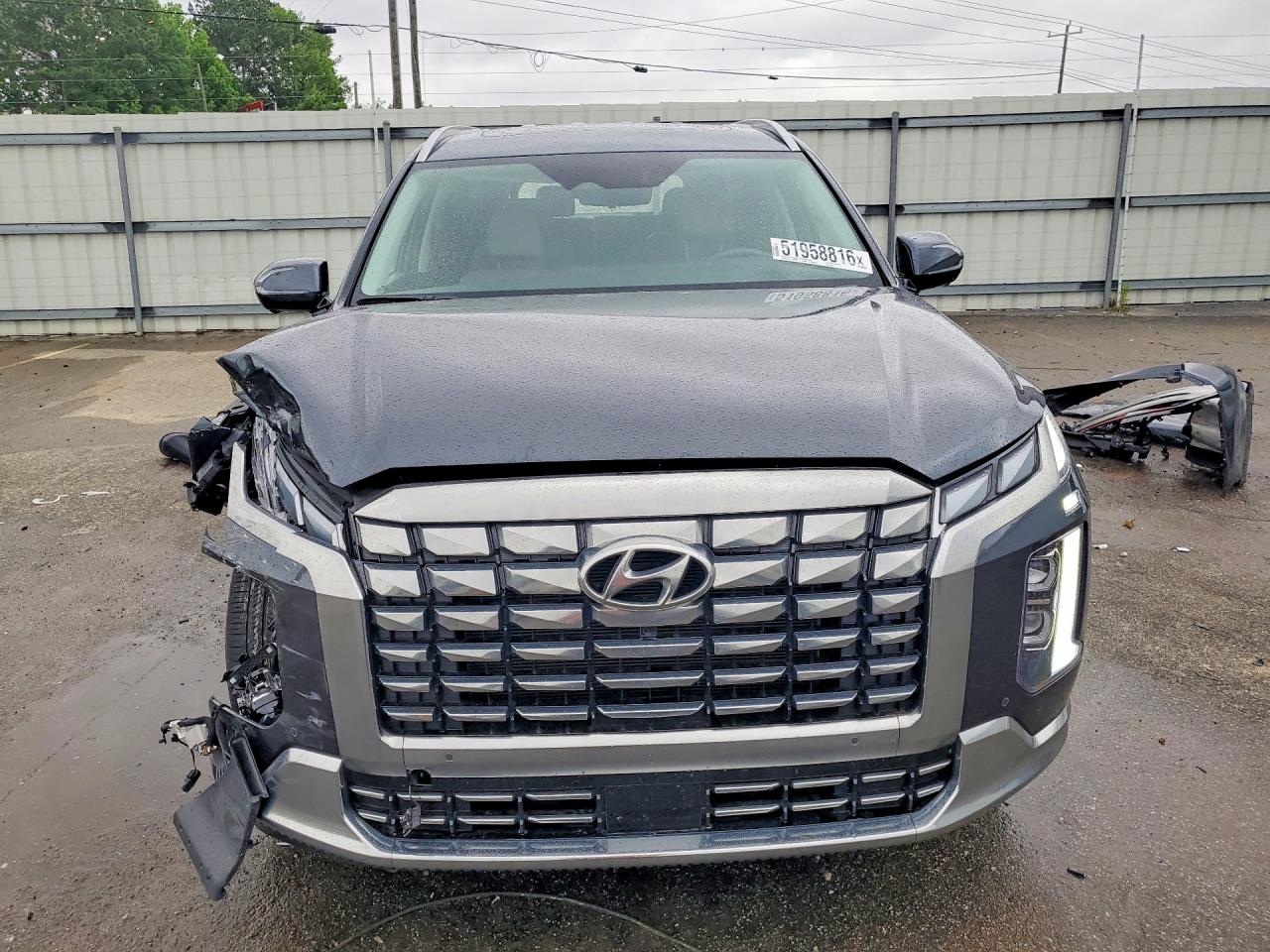 Hyundai PALISADE Calligraphy