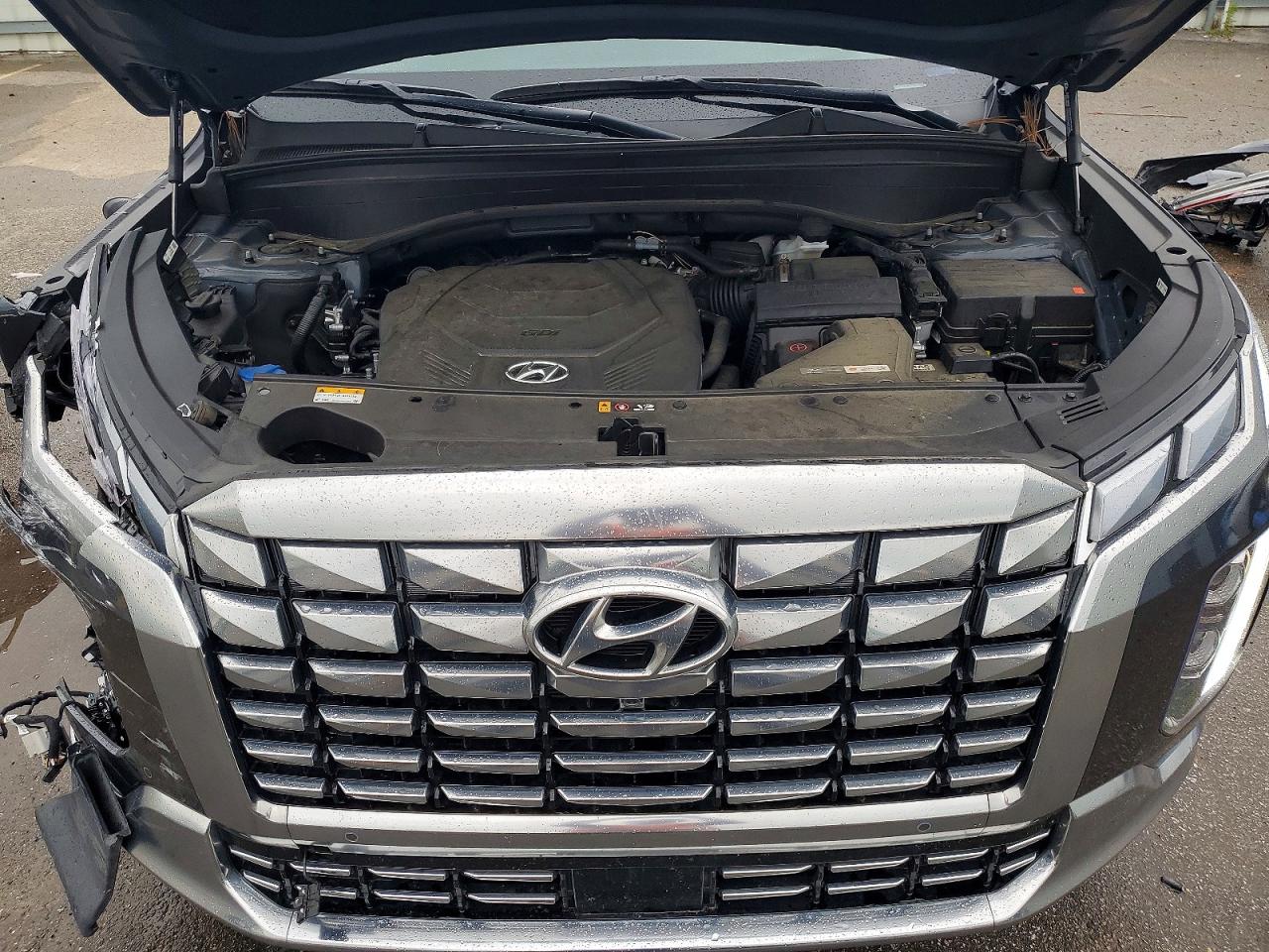 Hyundai PALISADE Calligraphy