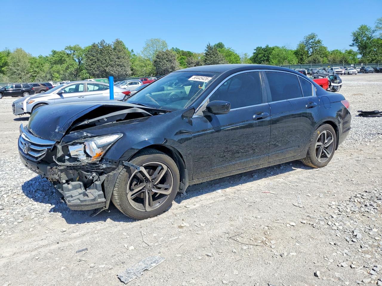 Salvage Honda Accord Image