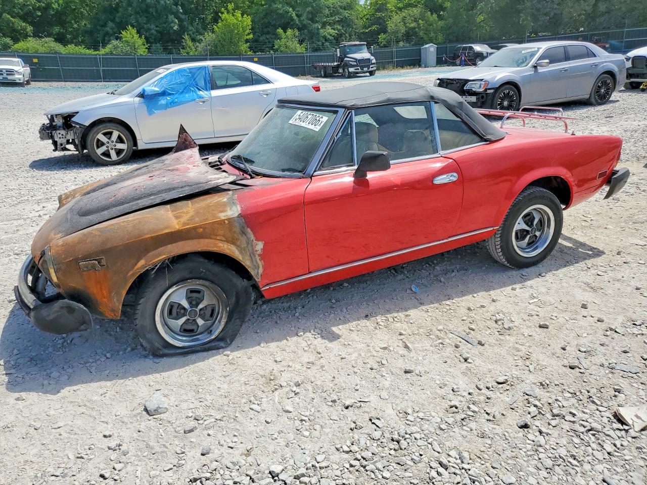 Salvage FIAT Spider Image
