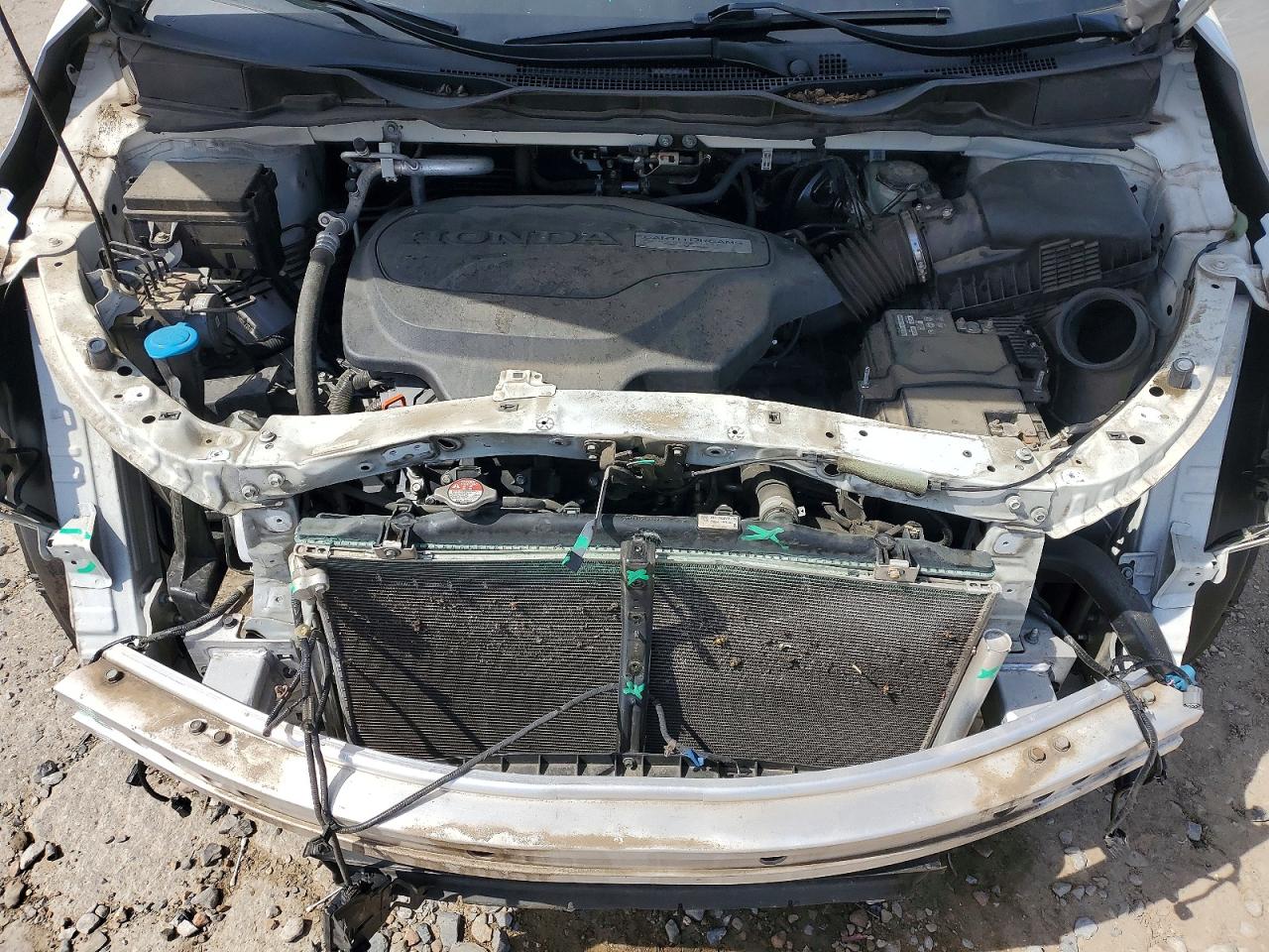 Honda Odyssey Exl