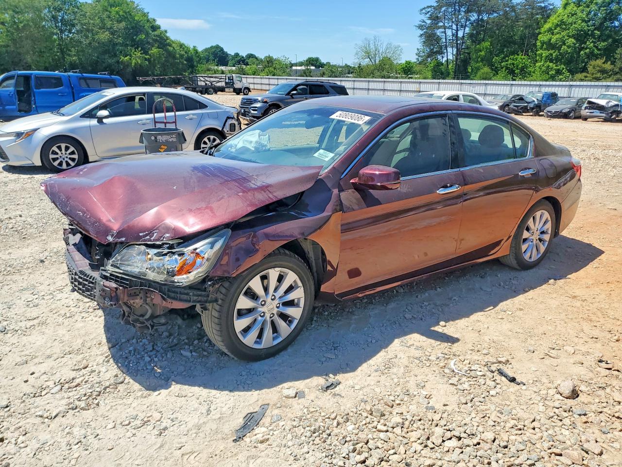 Salvage Honda Accord Image