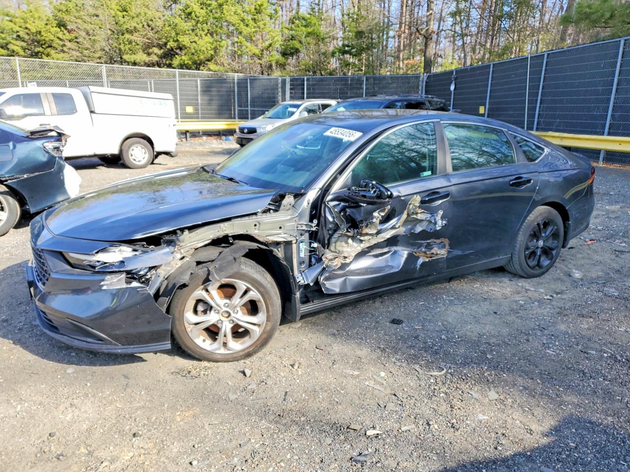 Salvage Honda Accord Image