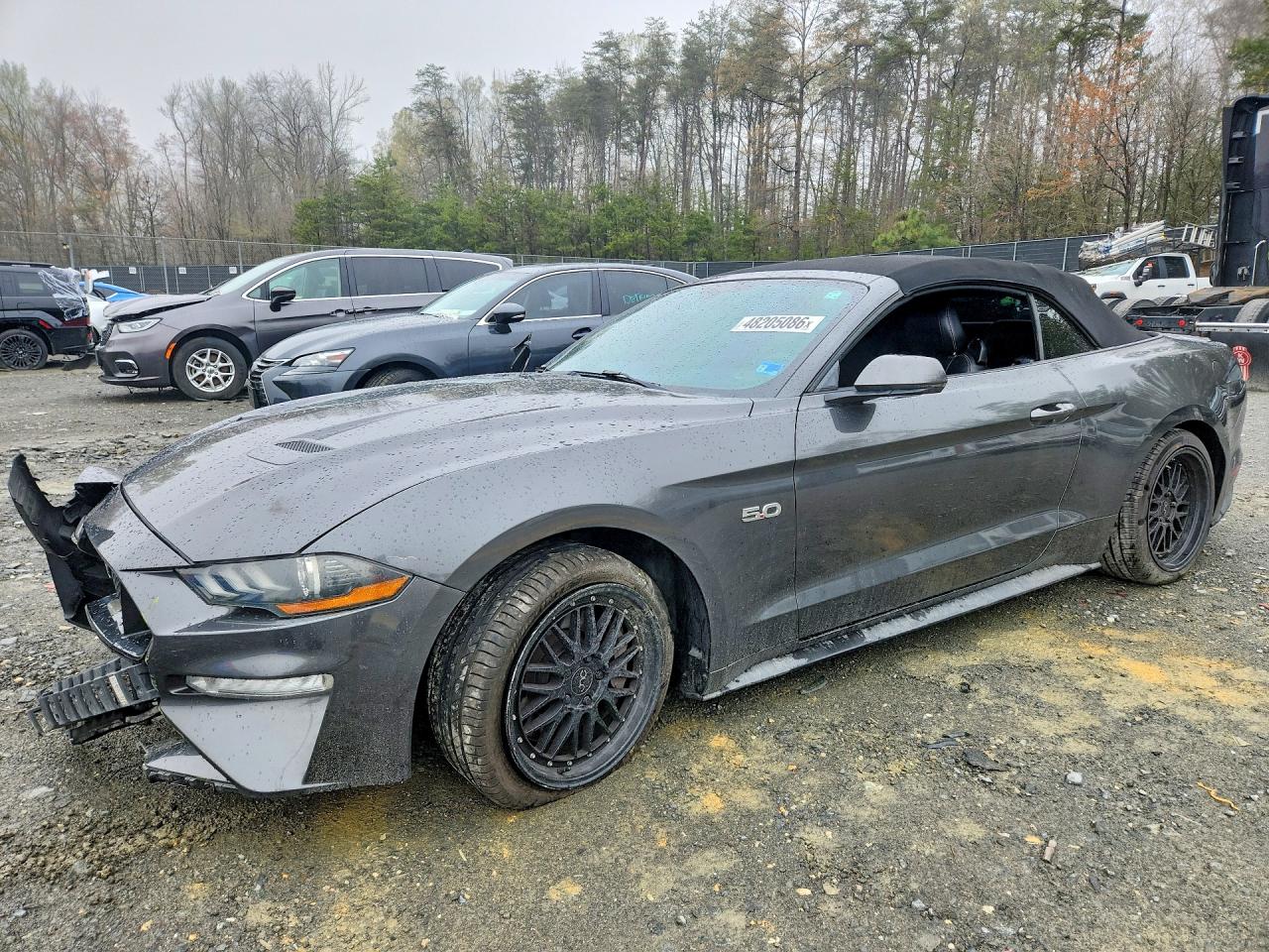 Salvage Ford Mustang Image