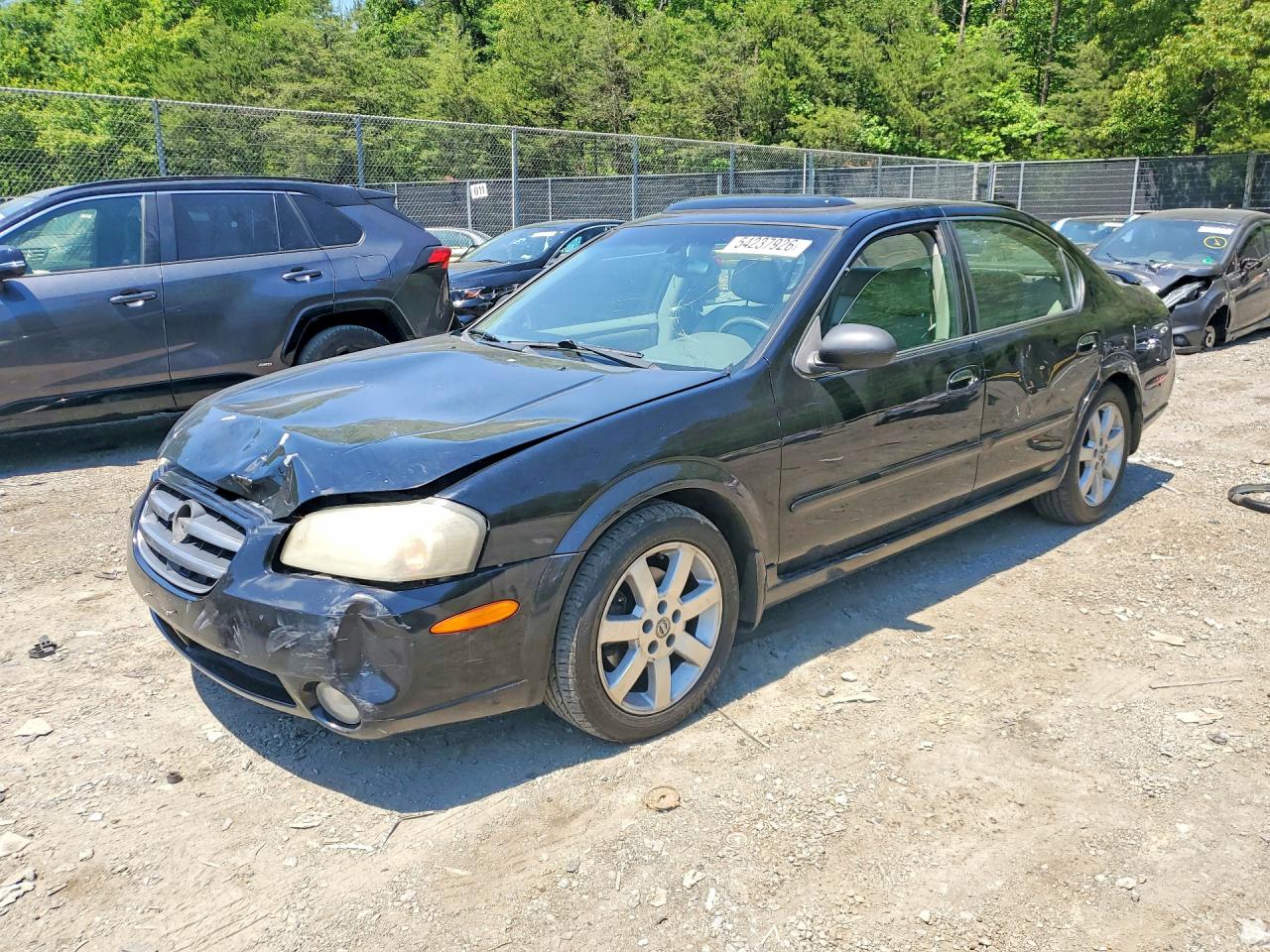 Salvage Nissan Maxima Image