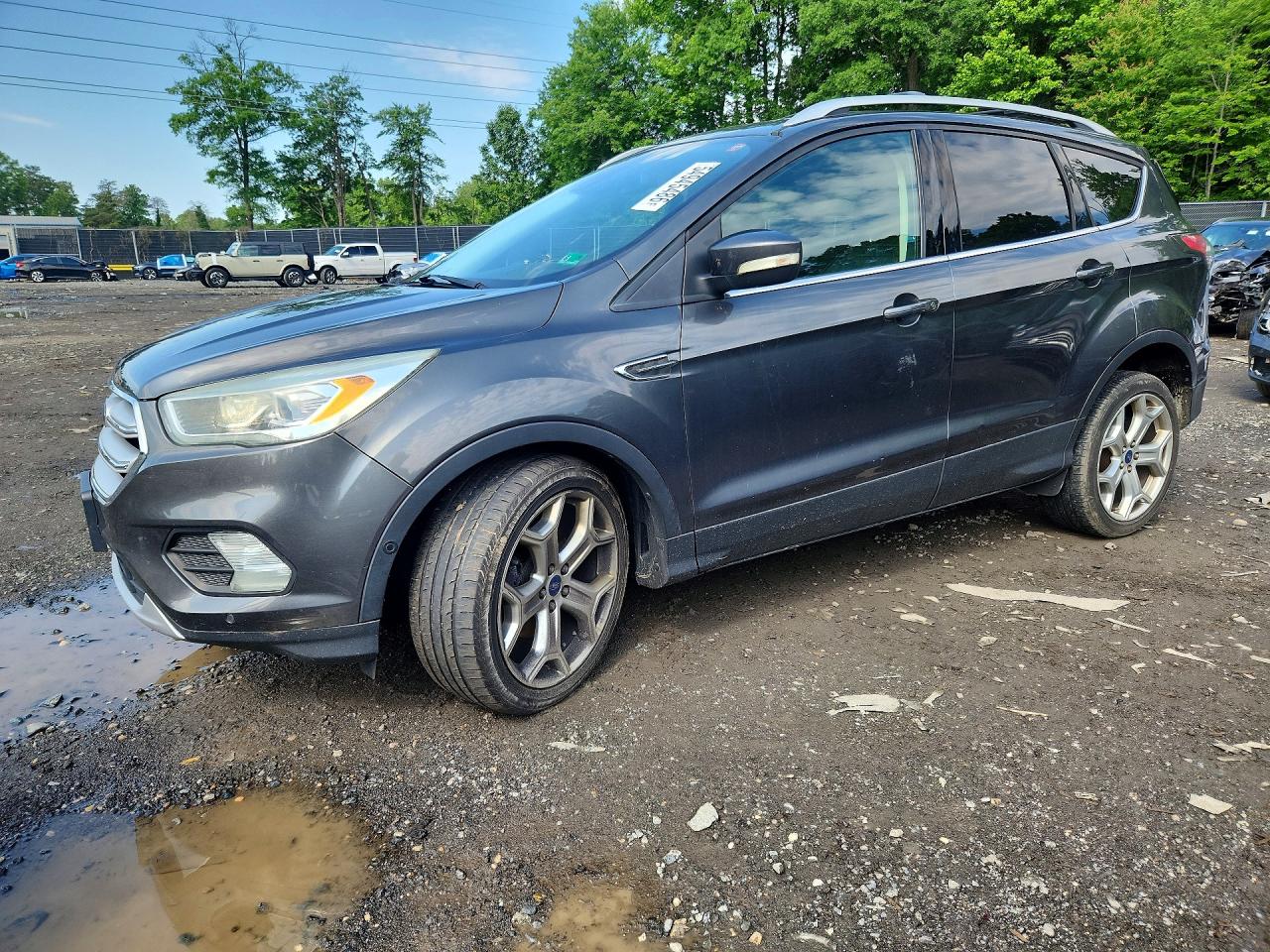 Salvage Ford Escape Image