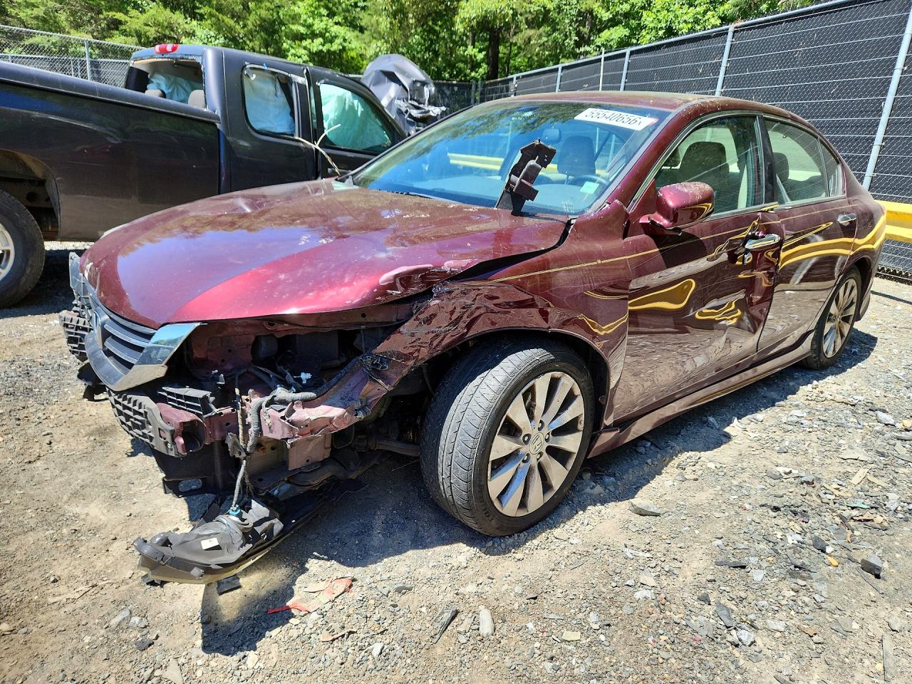 Salvage Honda Accord Image